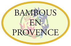 Bambous en Provence